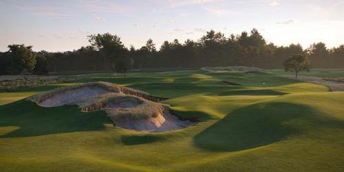 Kohler's Got a New Colt in the Stable - Meet Purebred Farm