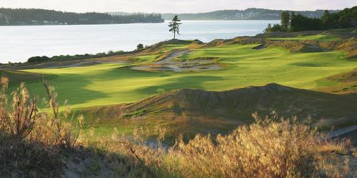 Chambers Bay Golf Package