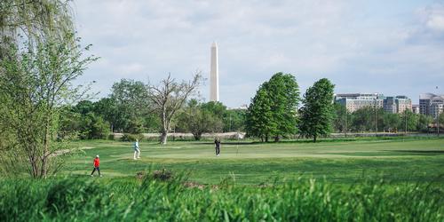 East Potomac Public Golf Course - White