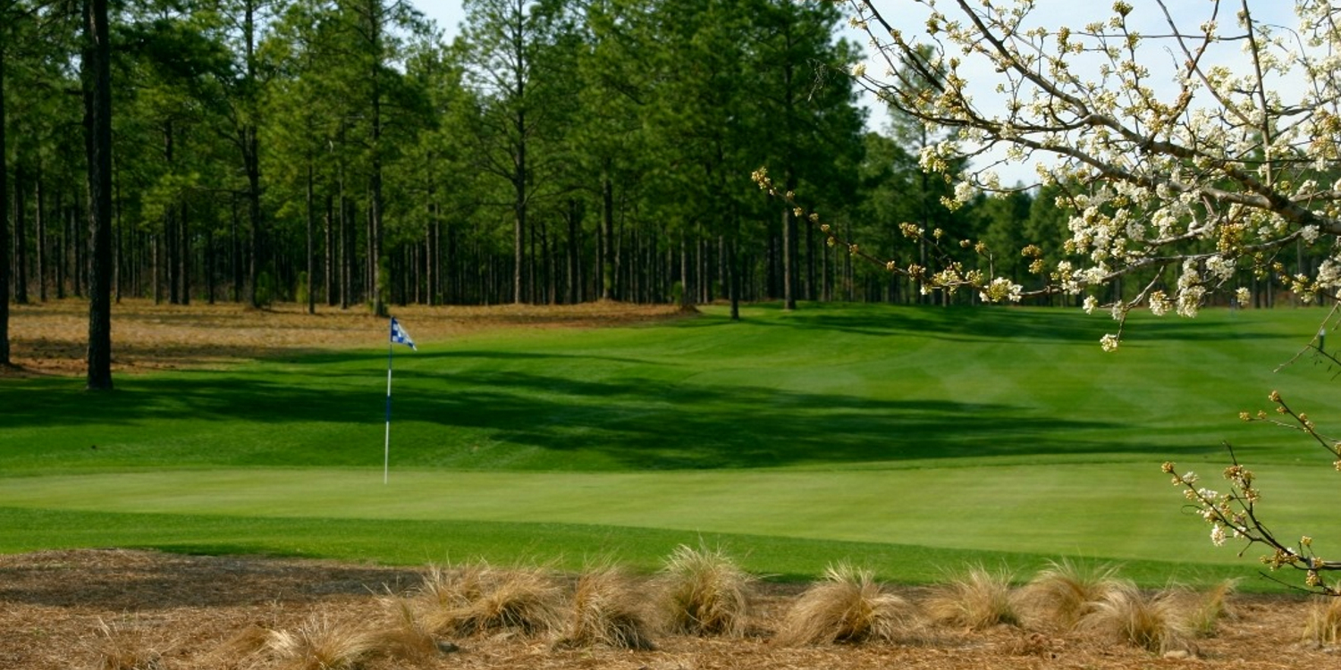 Legacy Golf Links